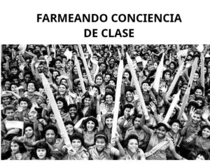 TOP Five de memes – Agosto 2026